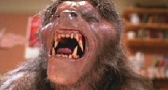 American Werewolf