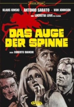 Das Auge der Spinne